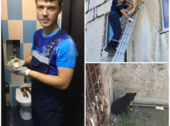 Грустный пес и кошка “в ступоре”: кого последнее время приходится частенько спасать в Новороссийске 
