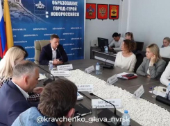 На озеленение Новороссийска потратят более 100 млн рублей