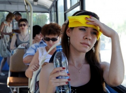 Что делать новороссийцам, если в маршрутке «потно» 