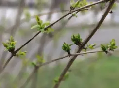 Гороскоп от «Блокнота»: Девам следует сосредоточиться, а Стрельцов тянет к приключениям 