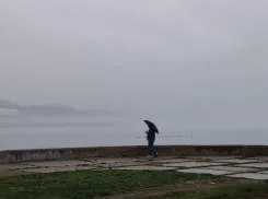 Овнам звезды порекомендовали не спешить, а Близнецам – фильтровать информацию