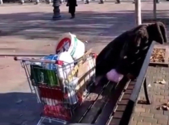 Сидит она- бедная, одинокая, вдова бездомная: новороссиец снял на видео спящую на холоде женщину