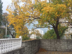 Новороссийцам следует сегодня одеваться потеплее