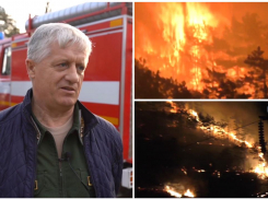 «Человеческий фактор»: почему горят леса Новороссийска и как с этим бороться