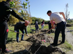  Новый прокурор Новороссийска посадил сразу 60 молодых