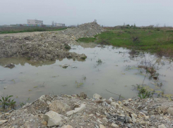 Ущерб в 15 миллионов: земельные участки в Алексино гибнут от загрязнений 