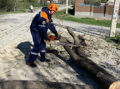 Опасные ветра Новороссийска — служба спасения устраняет последствия