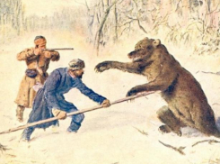 Почему на медведя надо охотиться толпой