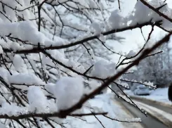 Снежный рекорд: метеорологи рассказали, откуда в Новороссийске столько снега и что будет дальше