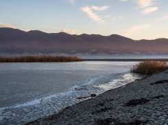Сотни бакланов найдены мертвыми на Черноморском побережье Новороссийска