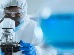 Ковид не знает выходных: +26 зараженных в Новороссийске 