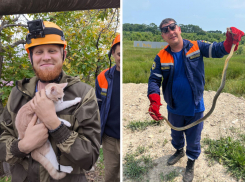 День спасателя: чем новороссийским спасателям запомнится 2025 год