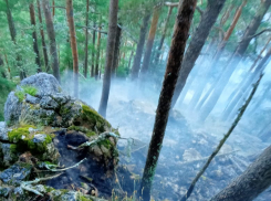 7 лесных пожаров произошло в Геленджике за последний месяц
