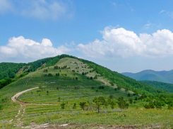 Погода в Новороссийске: жарче, чем вчера