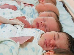 В Новороссийске случилась рекордная по рождаемости неделя