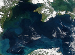 Ученые предрекли исчезновение барабульки в Новороссийске и превращение моря в мутную кашу