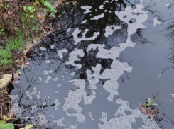 С мусорной горы Щелба в Новороссийске потекли черные реки 