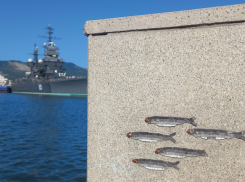 В Новороссийске сегодня будут стрелять