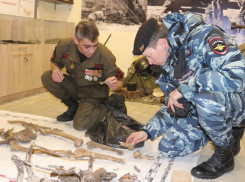 Останки героев войны, найденные на стройке, торжественно захоронят в Новороссийске 