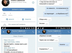 - Мошенники зарабатывают на бездомных животных! – предупреждают зоозащитники