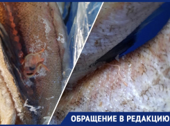 «Это ужасно!»: рыба с «сюрпризом» попалась жительнице Новороссийска  