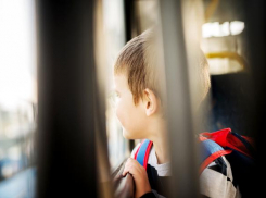 Маленьких новороссийцев не высадят из транспорта