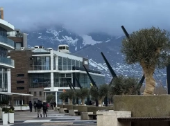 Почти 600 тысяч рублей в год: набережную готовят к круглогодичному уходу за оливами и фотиниями