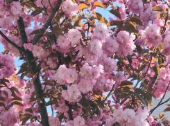 Гороскоп от «Блокнота»: Рыбам завершить начатое, а Скорпионам заняться творчеством