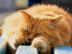 Среда заставит новороссийцев снять куртки