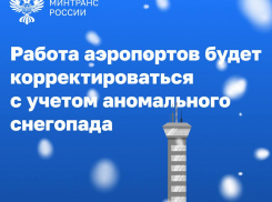 Снегопад столетия: новороссийцам, планирующим полет в Москву, стоит учесть