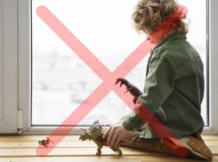 Выпадение детей и животных из окон — как новороссийцам избежать трагедии