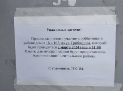 «Значит, со стариками можно так поступать?!»: жительница Новороссийска рассказала об организации субботника в их дворе 