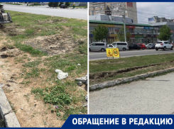 Выкопали деревья, роют траншеи: жители Южного района Новороссийска переживают за природу 