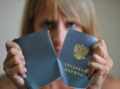 Шаг в будущее: новороссийцы должны выбрать образец трудовой книжки до июля