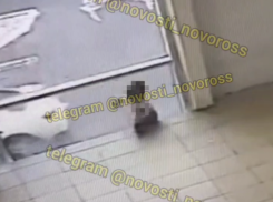 Безопасность отсутствует? По факту гибели ребёнка в супермаркете Новороссийска возбуждено уголовное дело 