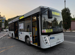 Новороссийцев спрашивают, когда запустить последний рейс автобуса в сторону Абрау-Дюрсо