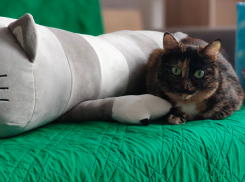 Гороскоп холодной пятницы февраля: что ждет знаки зодиака?