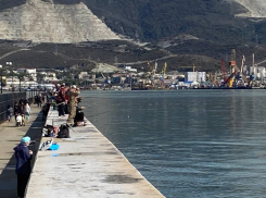 Транзит идет на спад: грузооборот рухнул в порту Новороссийска на 15%