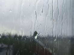 Штормовое сбылось: впервые с июля в Новороссийске пошел дождь 