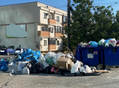 Краснодарский край занял 2-е место по мусору: рейтинг, который мы заслужили 