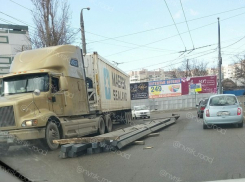  Понедельник в Новороссийске: на дороги  выехали «потеряшки»