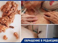 Новороссийский дом престарелых кишит тараканами 