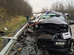 Новороссийцы живут в регионе, где в ДТП гибнут чаще всего