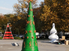 Елка из Новороссийска попала в Книгу рекордов России