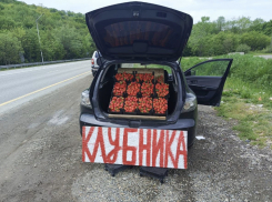 На трассе М-4 «Дон» продают клубнику с солями тяжелых металлов