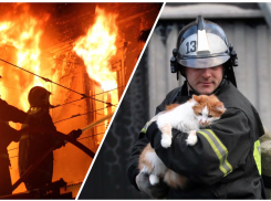 Героям посвещается: «Блокнот» поздравляет пожарных! 