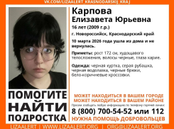 16-летнюю девочку из Новороссийска ищут четверо суток: ушла в лес и не вернулась 