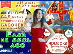 Афиша: новогодние утренники, ярмарки и настроение «елка»
