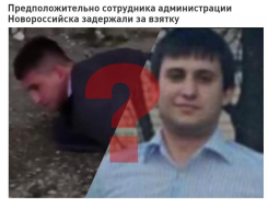 Опровержение: Лев Иосифов не был подчинённым Светланы Калининой