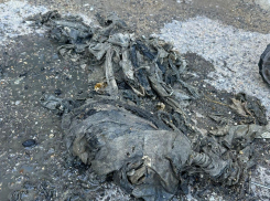 Туалетные истории: новороссийцы забили канализацию тряпками 